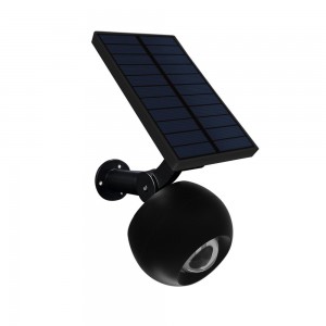 Solar Powered LED Garden Lights with Multiple Light Colors