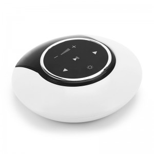Moon Bay Bluetooth Speaker Light DMK-007